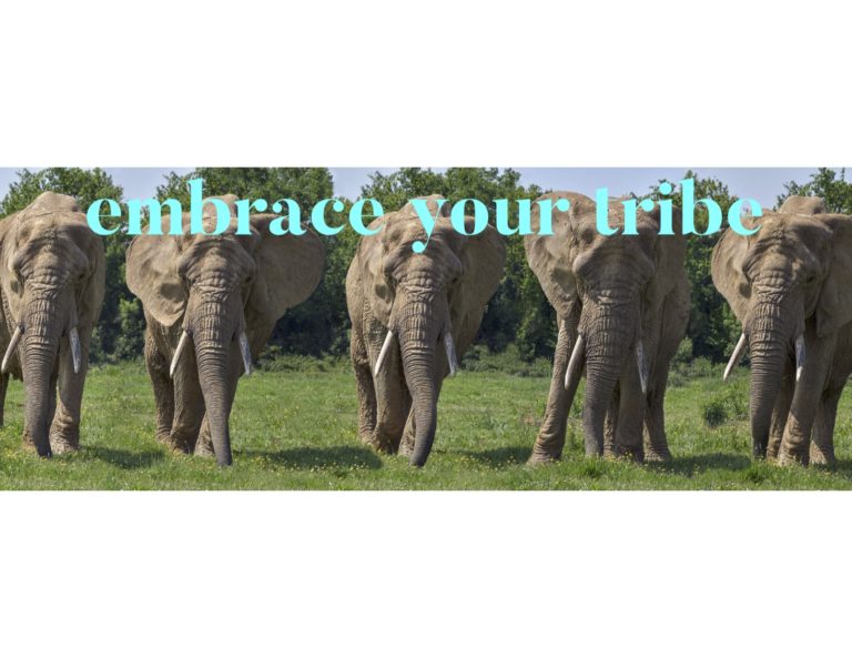 Embrace Your Tribe