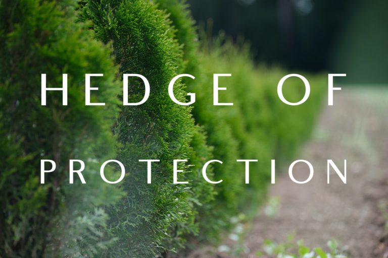 Hedge of Protection