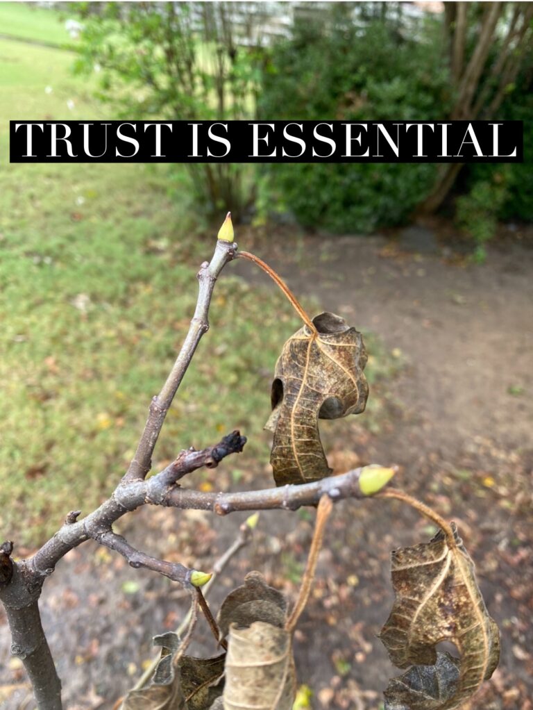 Trust is Essential