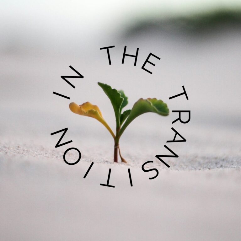 IN THE TRANSITION