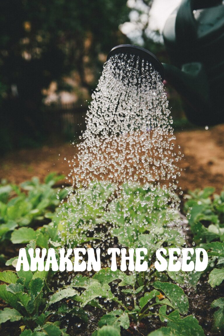 AWAKEN THE SEED
